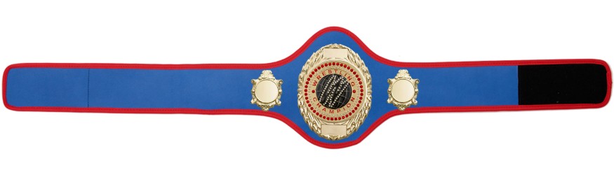 WRESTLING BELT-PRO286/G/WRESTGEMG-10+ COLOURS